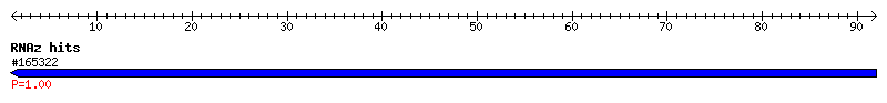 Overview