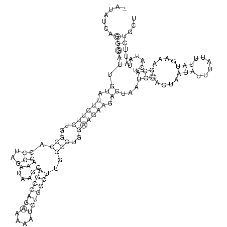 Secondary structure