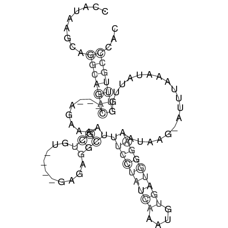 Secondary structure