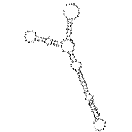 Secondary structure