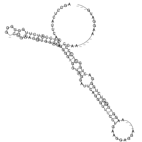 Secondary structure