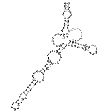Secondary structure