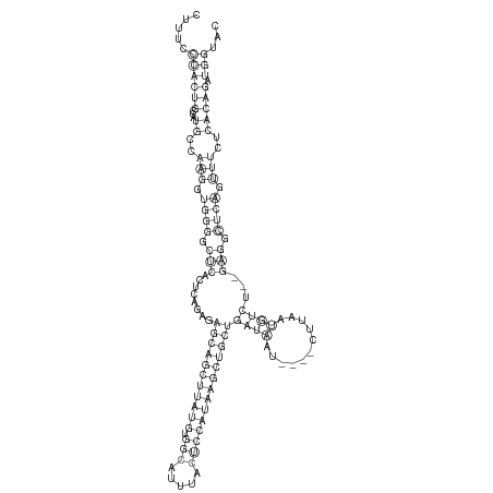 Secondary structure