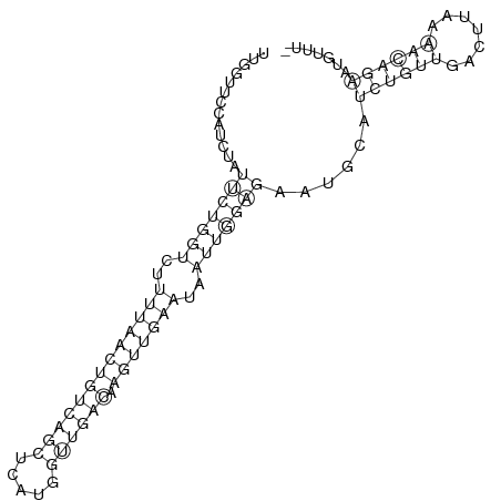 Secondary structure