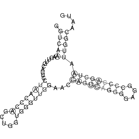 Secondary structure
