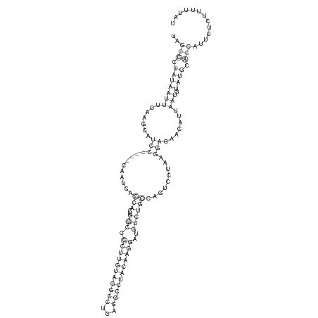 Secondary structure