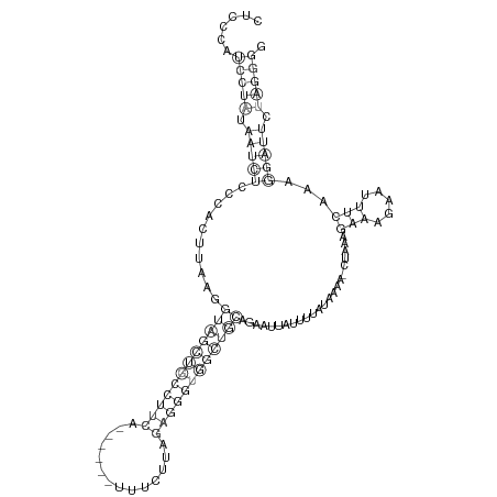 Secondary structure