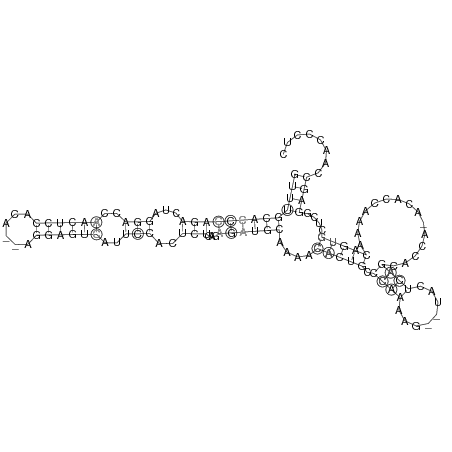 Secondary structure