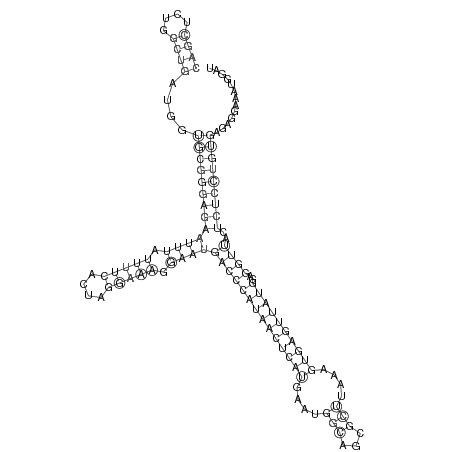 Secondary structure