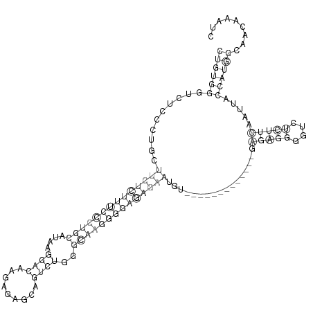 Secondary structure