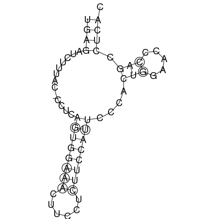 Secondary structure
