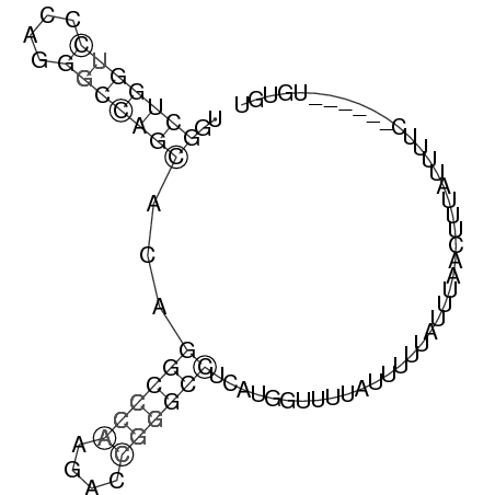 Secondary structure