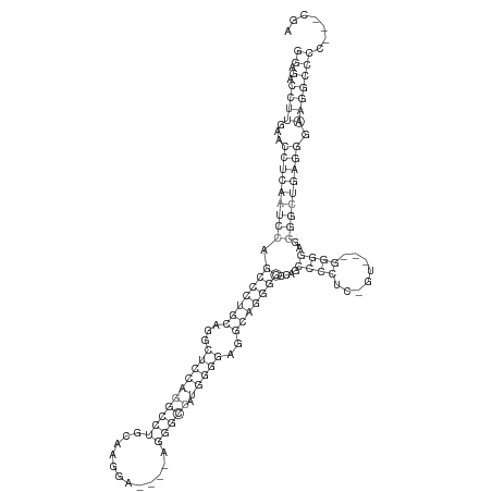 Secondary structure