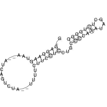 Secondary structure