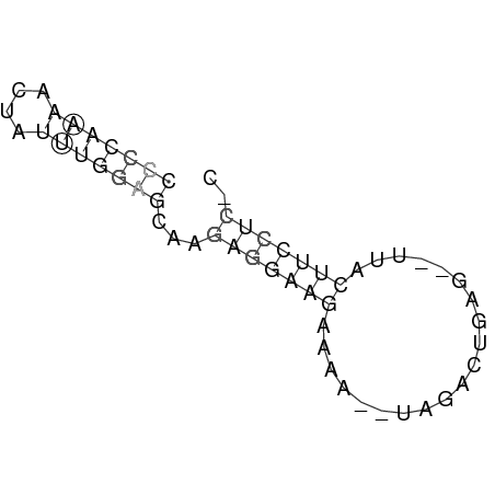Secondary structure