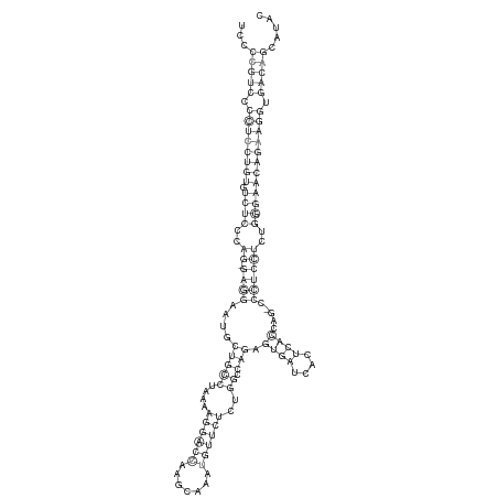 Secondary structure
