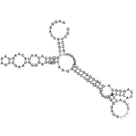 Secondary structure