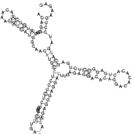 Secondary structure