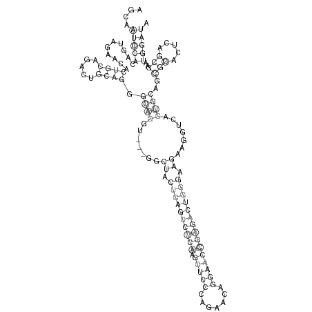 Secondary structure