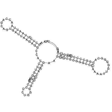 Secondary structure