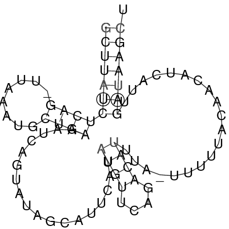 Secondary structure