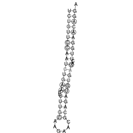Secondary structure