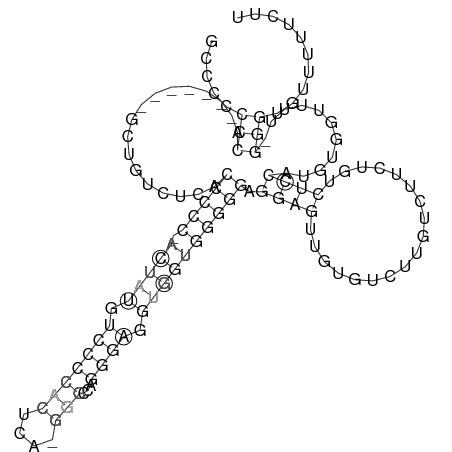 Secondary structure