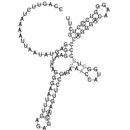 Secondary structure