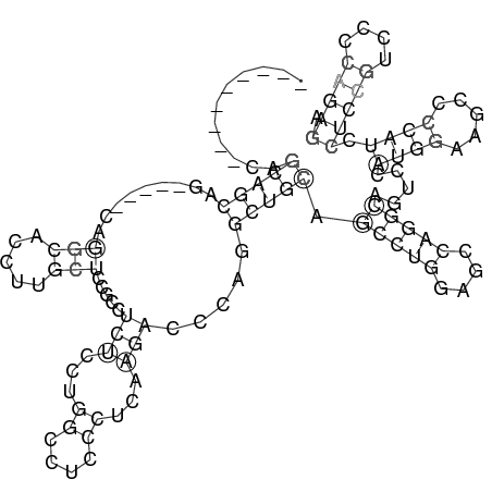 Secondary structure