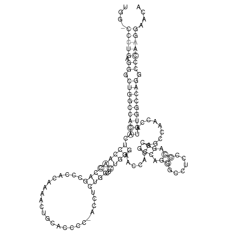 Secondary structure