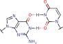 guanine_uracil_pair