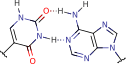 pseudouracil_adenine_pair